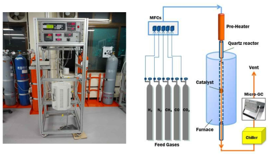 촉매 반응 장치 및 모식도