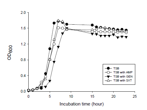 Growth of L. monocytogenes under antibiotic stress conditions. Bacteria were cultured in tryptic soy broth (TSB) without antibiotics, TSB with 0.25 μg/mL ampicillin (AMP), TSB with 0.25 μg/mL gentamicin (GEN), or TSB with 0.25/1.25 μg/mL trimethoprim/sulfamethoxazole (SXT)at 37 ◦C with shaking. Bacterial growth was measured at OD600 at indicated time points