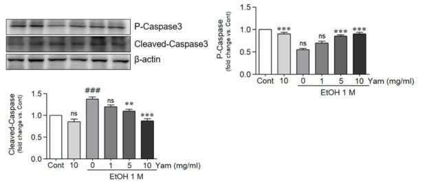 마 영여자 추출물의 Caspase 3 억제 효과