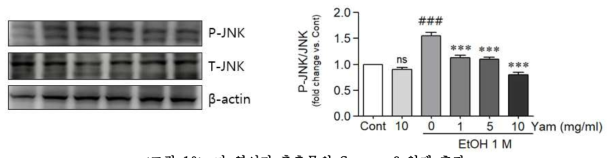 마 영여자 추출물의 Caspase 3 억제 효과