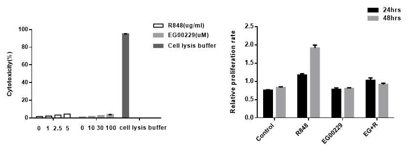 NRP-1 antagonist 투여 여부에 따른 cell proliferation의 변화