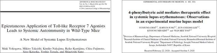 (좌) Toll-like receptor 7 agoinst lupus model을 소개한 논문, (우) 본 연구진이 발표한 Toll-like receptor 7-induced lupus model을 이용한 연구