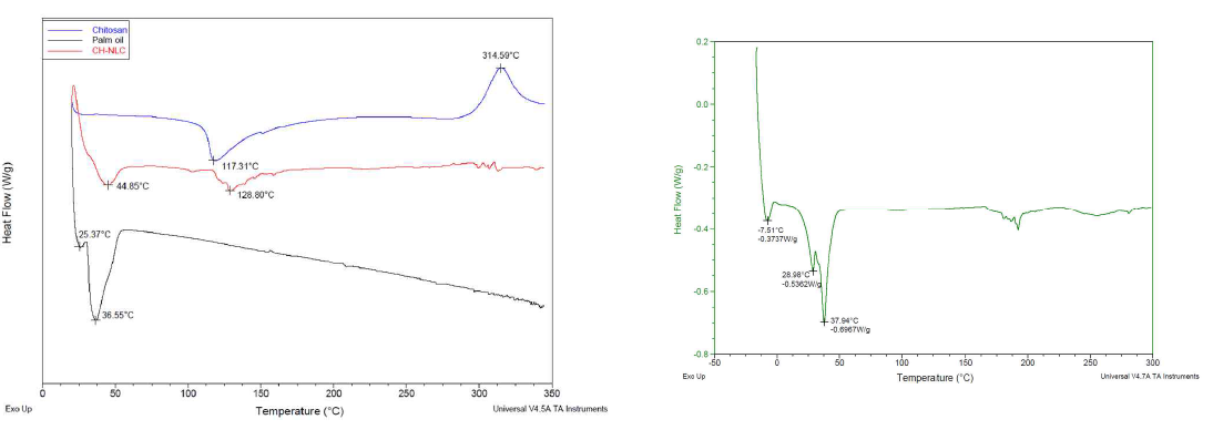 chitosan, palm oil, CS-NLC & physical mixture NLC의 DSC 관찰결과