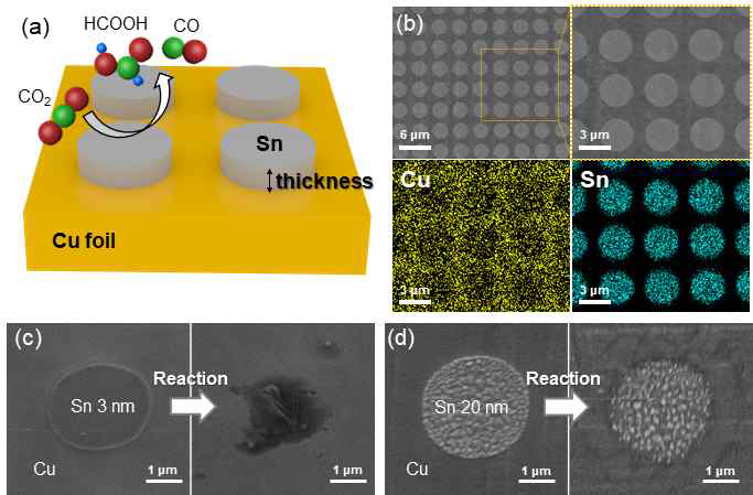 Cu기판 위에 패터닝된 Sn 박막의 (a) 모식도와 (b) SEM 사진. CO2 환원 반응 전/후의 SEM 사진; (c) Sn 3 nm, (d) Sn 20 nm