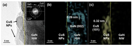 CuS NPs/GaN NWs/Si 광전극의 TEM 사진