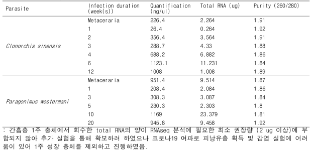 Total RNA preparation from each parasite according to develpomental stages