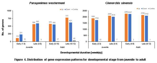 The analysis of transcriptional patterns from juvenile to adult worm of P. westermani and C. sinensis