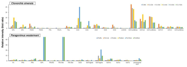 Transcriptional expression patterns of antioxidant genes in C. sinensis and P. westermani according to developmental stages