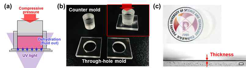 (a) 밀폐형 동시 압축-가교 공정 개념도. (b) 밀폐형 동시 압축-가교 공정을 위한 파트. (c) 제작된 고강성 콜라겐 멤브레인 및 이의 단면(Scale bar, 100 μm)