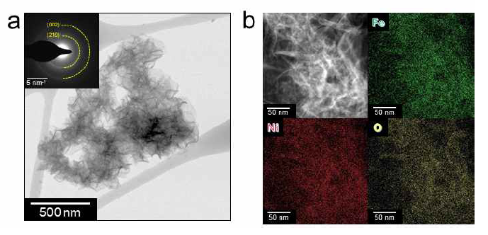 (a) TEM images of NiFeOOH and SAED patterns (inset). (b) EDS mapping images of Fe (green), Ni (red), and O (yellow)