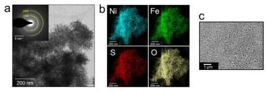 (a) TEM images of the S-NiFeOOHand SAED pattern (inset). (b) EDS elemental maps of S-NiFeOOH: Ni (cyan), Fe (green), S (red), and O (yellow). (c) SEM images of S-NiFeOOH