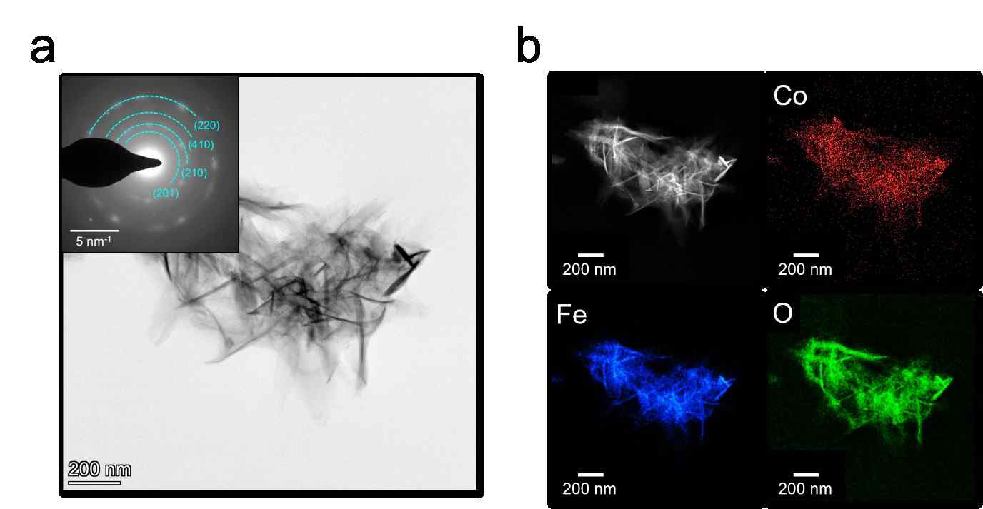 (a) High resolution transmission electron microscopy (HR-TEM) image of(Co,Fe)OOH with selected area electron diffraction (SAED) ring patterns. (b) TEM�EDS mapping images of (Co,Fe)OOH