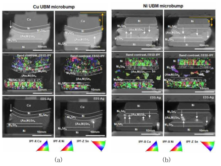 pillar 소재에 따른 Sn-2.5Ag 미세범프의 전기적 신뢰성 평가 후 EBSD 분석 결과 (a) Cu Pillar가 적용된 미세범프, (b )Ni pillar가 적용된 미세범
