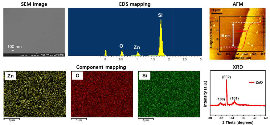 ALD 기반 ZnO 반도체 박막 SEM, EDS, AFM 및 XRD 측정을 통한 물성 분석