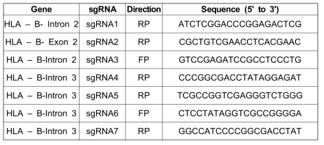 sgRNA sequence targeting HLA-B gene