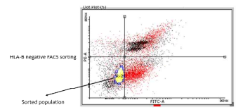 Pooled FACS sorting for HLA-B negative clones