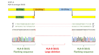 Sanger sequencing to confirm HLA-B deletion