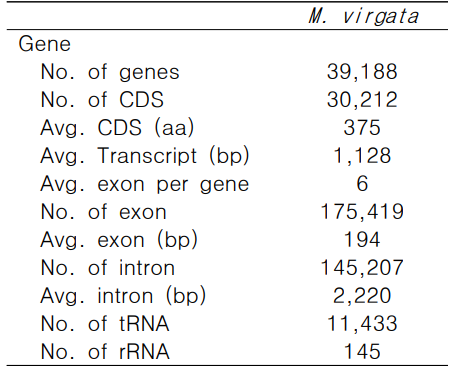 Gene model