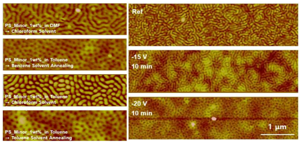 다양한 solvent annealing을 통한 블록공중합체 및 중성 전하 입자 PS-b-P2VP 어닐링 비교