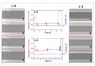 L-0 전해질 및 L-5 전해질을 활용한 in situ synchrotron tomography 이미징 결과. 포항가속기연구소의 6C BMI beamline에서 실험을 진행하였음