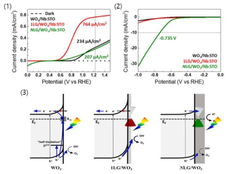 Graphene/WO3/Nb:STO 광전극의 (1) 산소발생반응 특성 (2) 수소발생반응 특성 (3) 에너지 밴드 구조 모식도