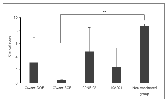 Mean clinical score