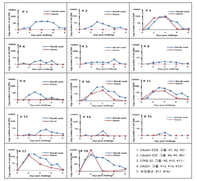 Mouth swab 및 Serum 샘플의 Real-time PCR 결과