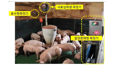 사료섭취량 및 체중측정 장비