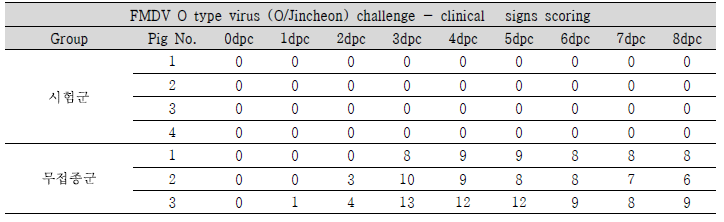 FMDV O type 임상증상 확인 결과