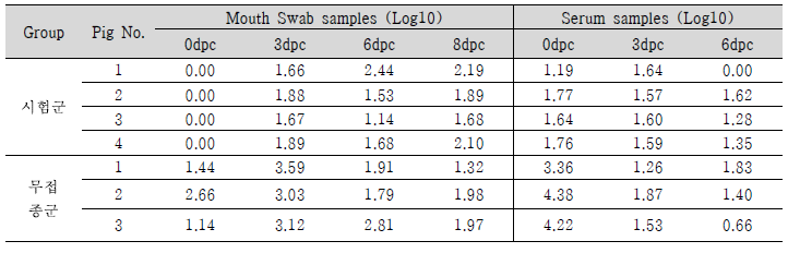 FMDV O type 바이러스 배출량 및 Viremia 확인 결과