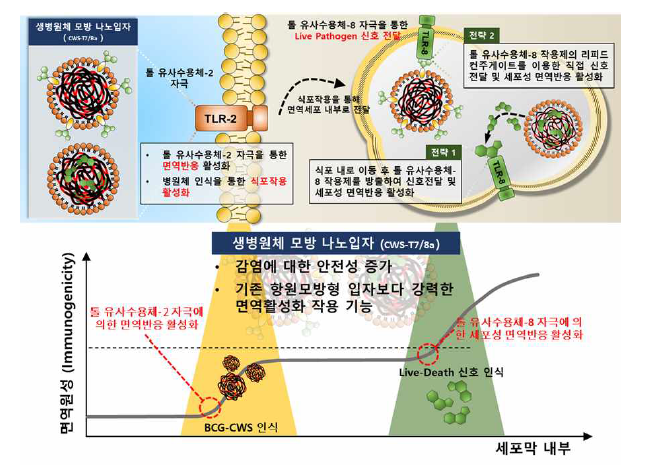 병원균 외벽 성분 기반 생병원체 모방 나노입자