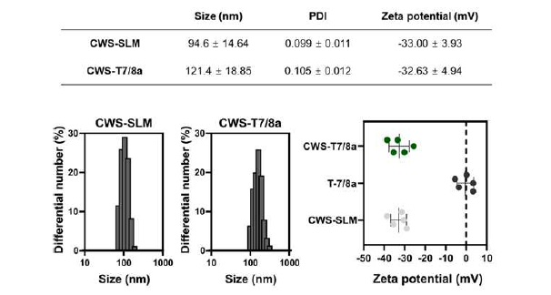 CWS-SLM과 CWS-T7/8a 에 대한 DLS 및 Zeta potential 분석