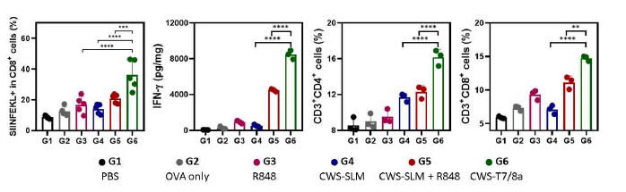 실험동물 모델에서 CWS-T7/8a 의 세포성 면역반응 유도능