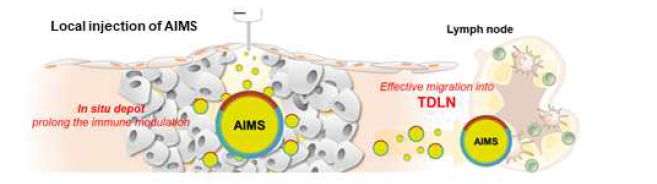 주사제로 사용 가능하며 주입 부위에 Depot 형성 및 림프절 이동을 유도하여 지속성 및 면역 유도능이 뛰어난 AIMS 플랫폼 개발