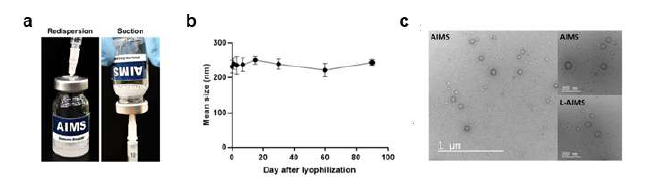 동결 건조 전 후 의 AIMS 플랫폼 나노입자의 비교 및 안정성 확인