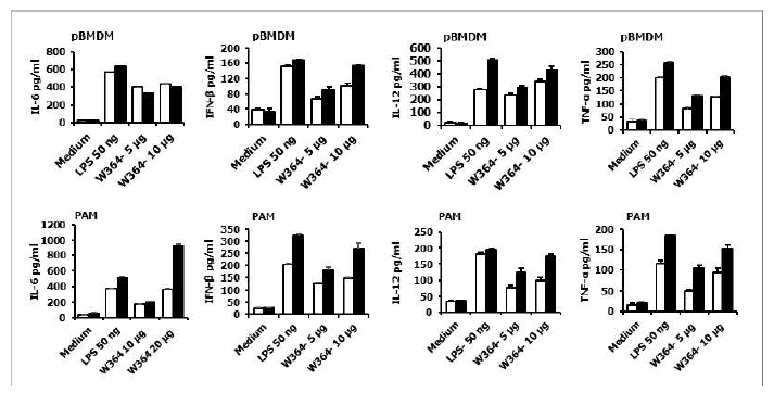 돼지 면역세포에서 W364의 면역자극 효능 검증