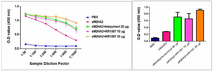 sM2HA2 항원에 대한 KR1587의 체액성 면역원성 검증