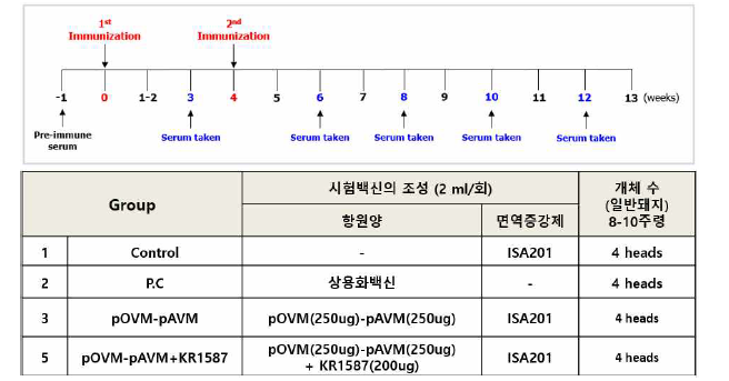 KR1587의 면역증강 효능 검증을 위한 돼지실험 스케쥴