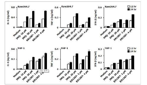 Raw264.7 cell과 THP-1에서 KR-15870의 면역증강 효과