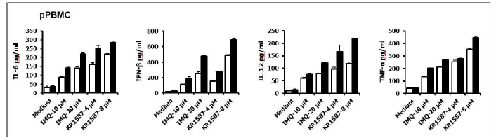 Porcine PBMC에서 KR1587의 면역자극 효과