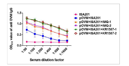 OVM항원에 대한 항체가 측정을 통한 KR-15870의 면역증강효능 검증