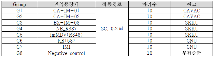 면역증강제 스크리닝 1차 시험그룹