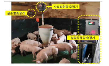 사료섭취량 및 체중측정 장비