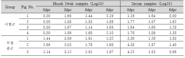FMDV O type 바이러스 배출량 및 Viremia 확인 결과
