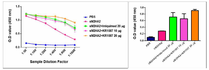 sM2HA2 항원에 대한 KR1587의 체액성 면역원성 검증