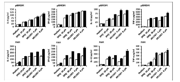 Porcine BMDM과 PAM에서 KR-15870의 사이토카인 유전자 증강 효과