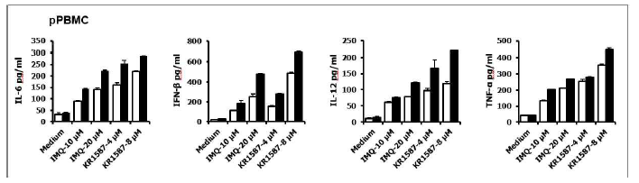 Porcine PBMC에서 KR1587의 면역자극 효과