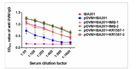 OVM항원에 대한 항체가 측정을 통한 KR-15870의 면역증강효능 검증