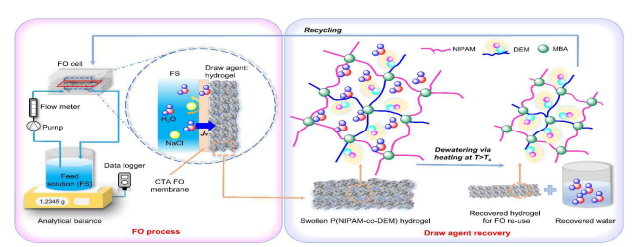 Schematics of the FO process using P(NIPAM-co-DEM) hydrogel as a drawing agent