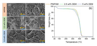 Morphological and thermal decomposition properties of PNIPAM and P(NIPAM-co-DEM) hydrogels: (a) SEM images; (b) TGA curves